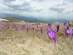 фото9
